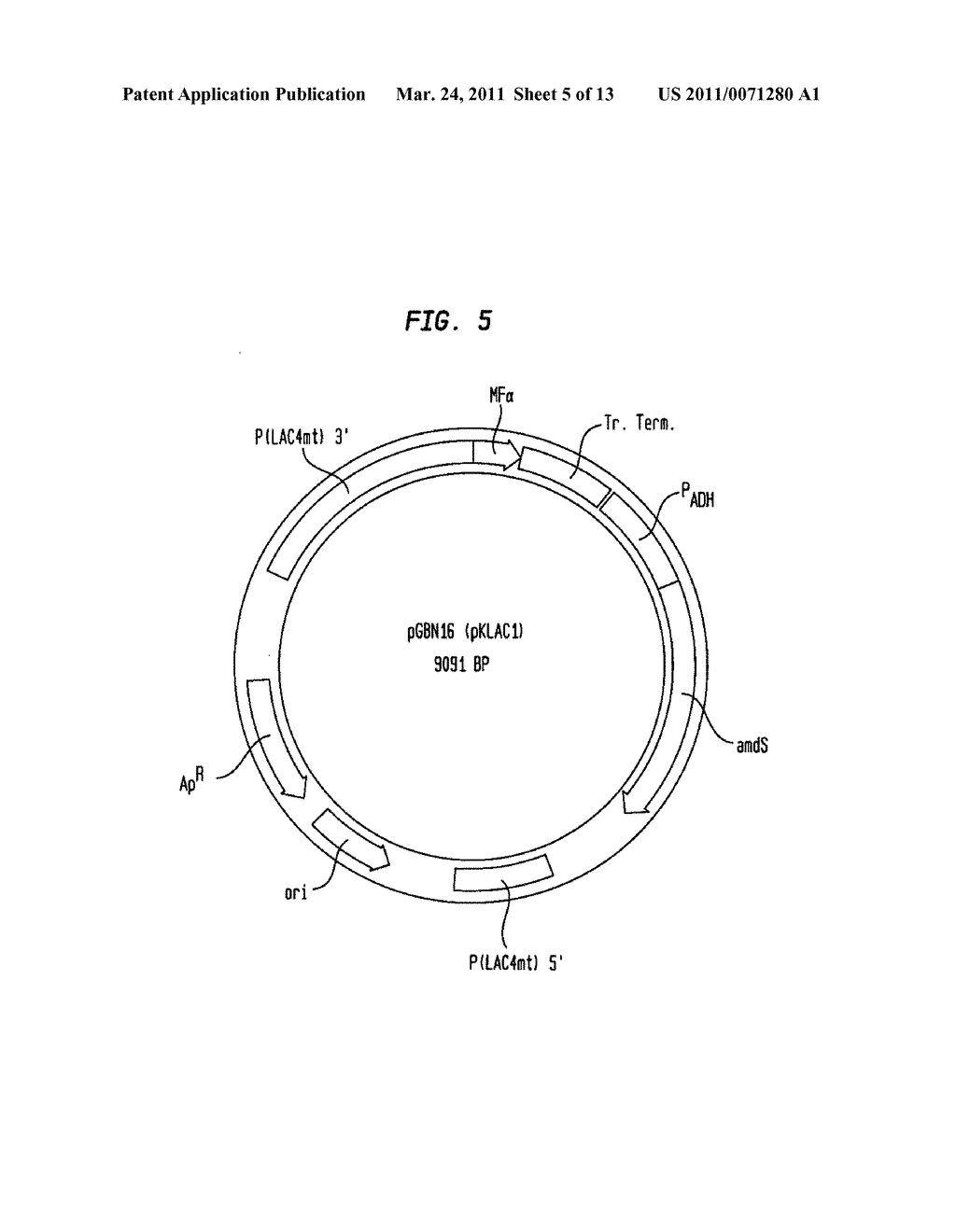 Methods and Compositions for Concentrating Secreted Recombinant Proteins - diagram, schematic, and image 06