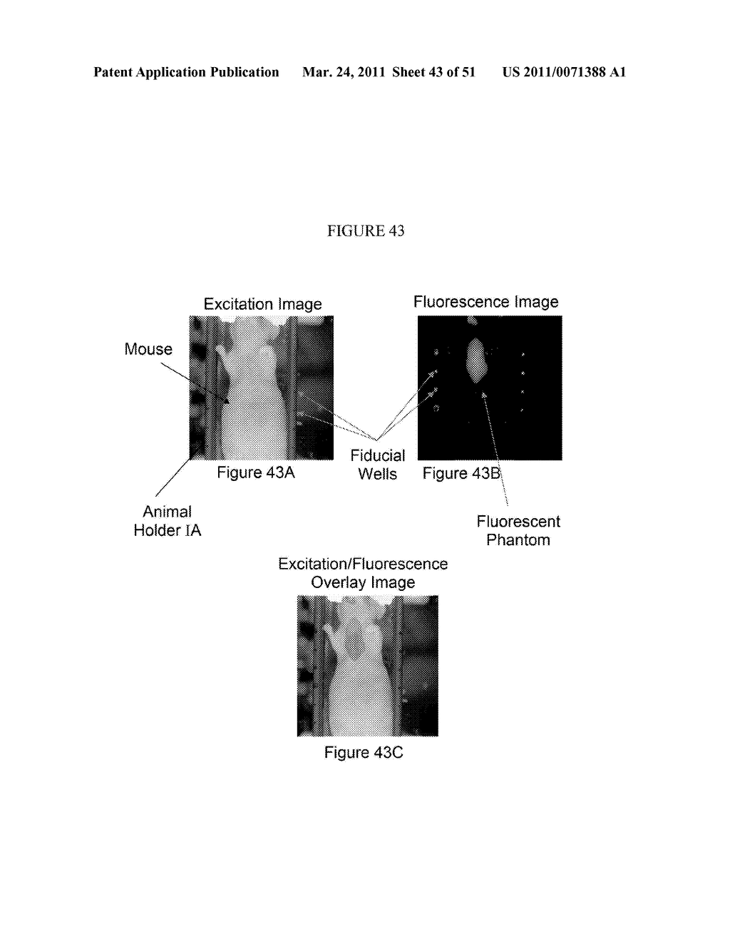 ANIMAL HOLDER FOR IN VIVO TOMOGRAPHIC IMAGING WITH MULTIPLE MODALITIES - diagram, schematic, and image 44