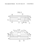 DISPOSABLE ABSORBENT WEARING ARTICLE diagram and image