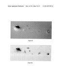 METHOD FOR MODIFYING THE REFRACTIVE INDEX OF OCULAR TISSUES diagram and image