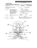 BIFURCATED LEAD SYSTEM AND APPARATUS diagram and image