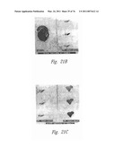 ANTI-ANGIOGENIC COMPOSITIONS AND METHODS OF USE diagram and image