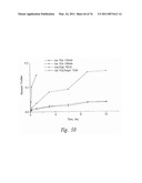 ANTI-ANGIOGENIC COMPOSITIONS AND METHODS OF USE diagram and image