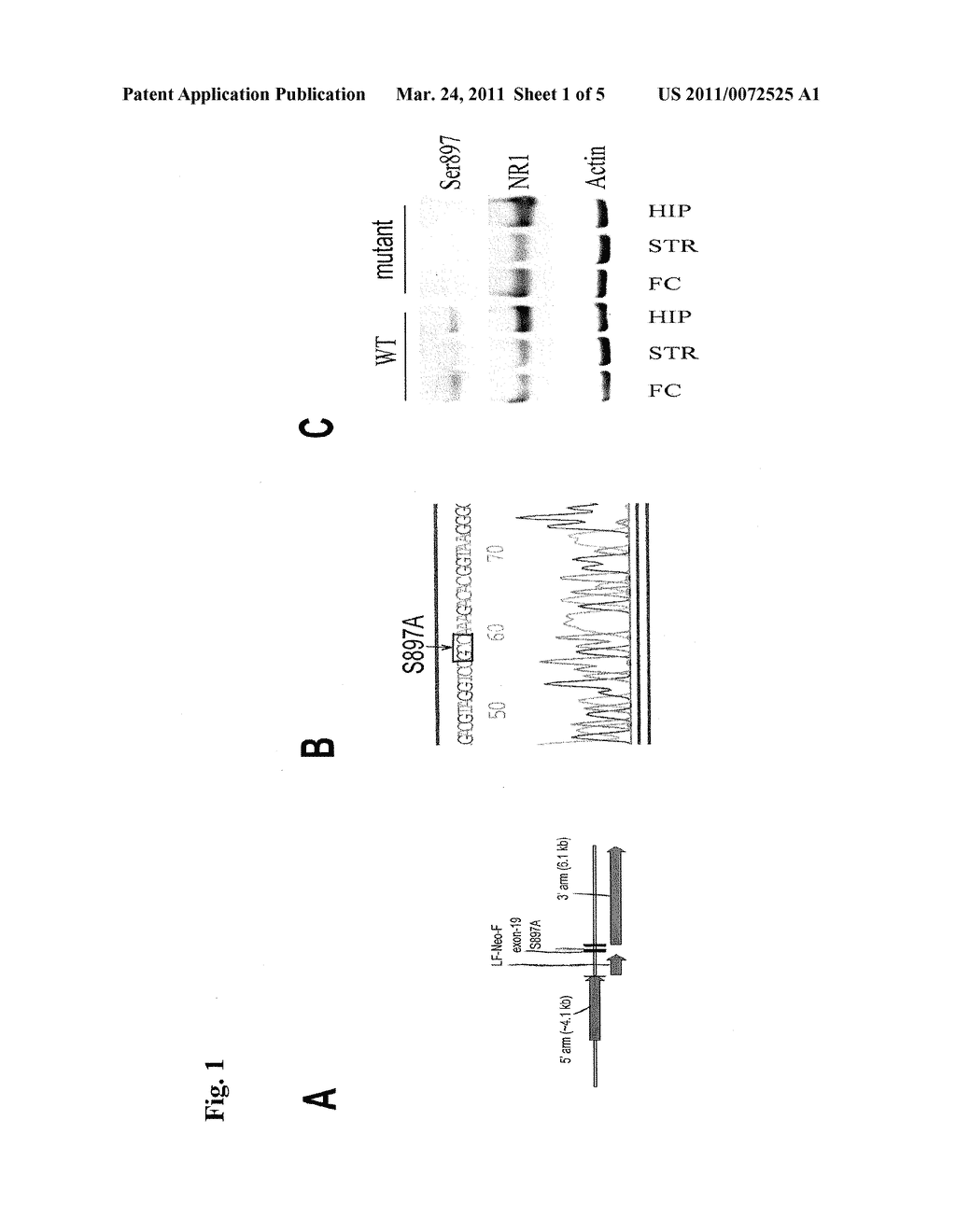 COMPOSITIONS AND METHODS FOR THE TREATMENT OF PSYCHIATRIC AND NEUROLOGICAL DISORDERS - diagram, schematic, and image 02