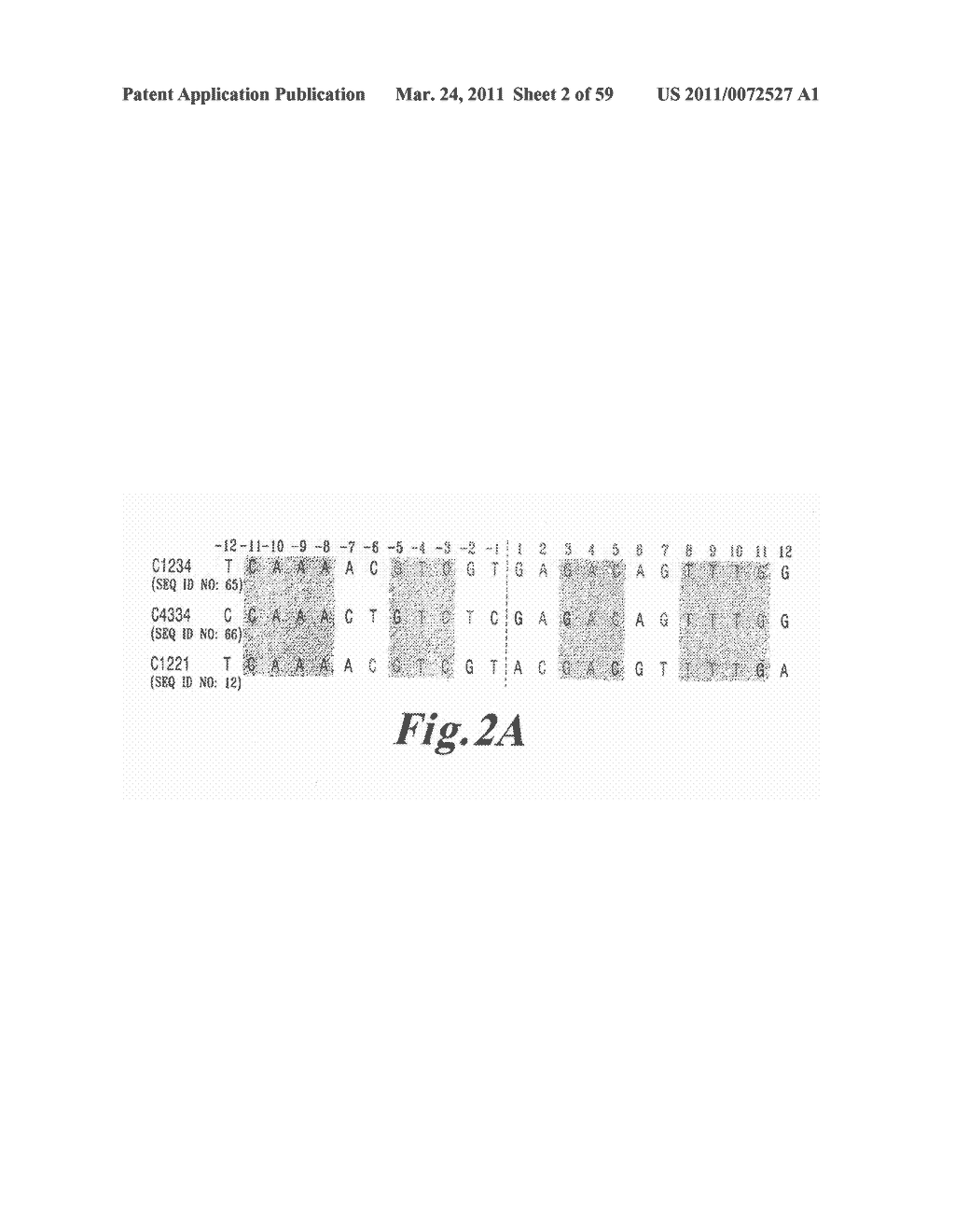 I-CREI MEGANUCLEASE VARIANTS WITH MODIFIED SPECIFICITY, METHOD OF PREPARATION AND USES THEREOF - diagram, schematic, and image 03