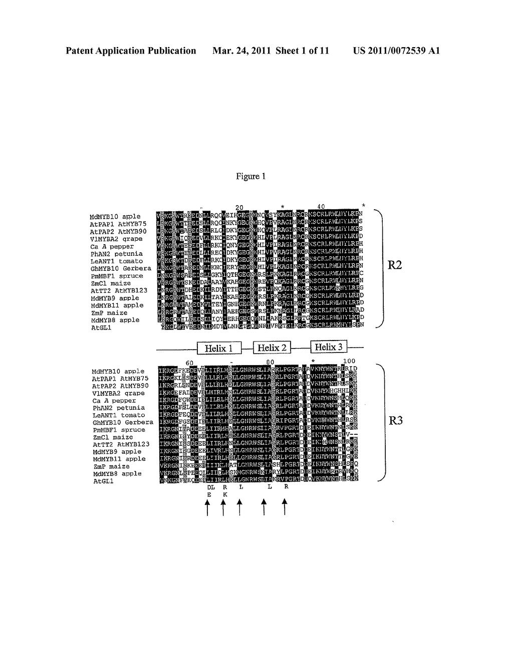 Compositions and Methods for Modulating Pigment Production in Plants - diagram, schematic, and image 02