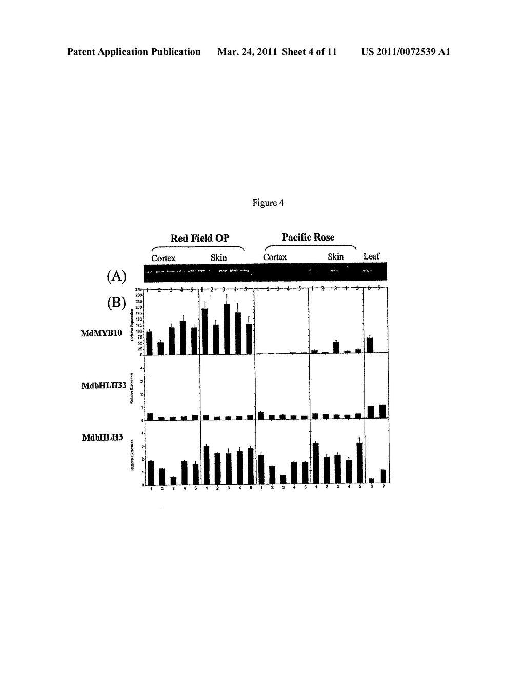 Compositions and Methods for Modulating Pigment Production in Plants - diagram, schematic, and image 05