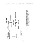 PRODUCTION OF FATTY ACID DERIVATIVES diagram and image