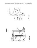 APPARATUS AND PROCESS FOR CRYSTAL GROWTH diagram and image