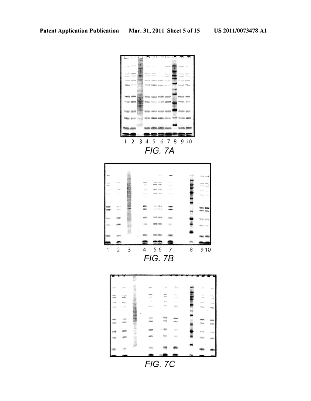 SYSTEM FOR RAPID HIGH-RESOLUTION GEL ELECTROPHORESIS - diagram, schematic, and image 06