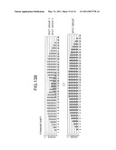 CHARGED PARTICLE IRRADIATION SYSTEM AND METHOD FOR CONTROLLING THE SAME diagram and image