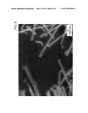 II-VI SEMICONDUCTOR NANOWIRES diagram and image