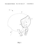 SPLIT LASER EYE PROTECTION SYSTEM diagram and image