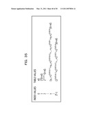 METHOD AND APPARATUS FOR ELLIPTIC CURVE CRYPTOGRAPHIC PROCESSING diagram and image