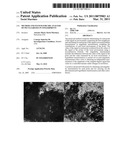 METHOD AND SYSTEM FOR THE ANALYSIS OF PECULIARITIES IN FINGERPRINTS diagram and image