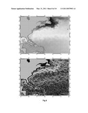 METHOD AND SYSTEM FOR THE ANALYSIS OF PECULIARITIES IN FINGERPRINTS diagram and image