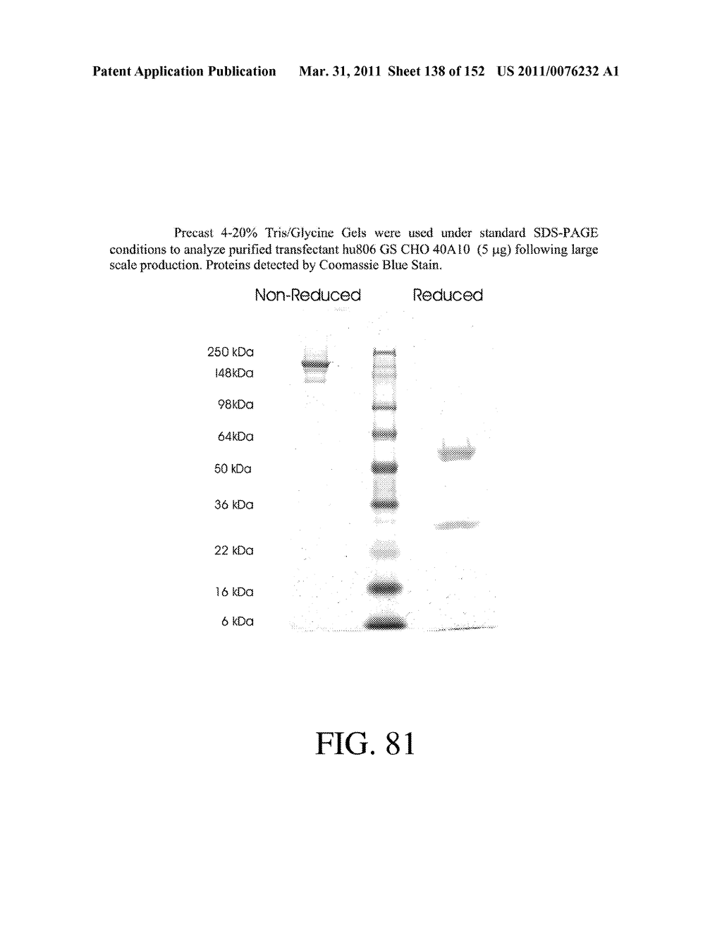 SPECIFIC BINDING PROTEINS AND USES THEREOF - diagram, schematic, and image 139