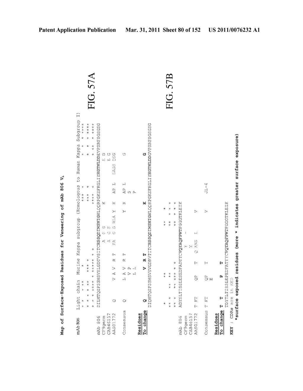 SPECIFIC BINDING PROTEINS AND USES THEREOF - diagram, schematic, and image 81