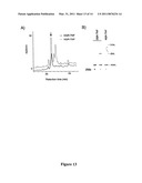 PEPTIDES COMPRISING AN ISODGR MOTIF diagram and image