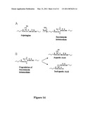 PEPTIDES COMPRISING AN ISODGR MOTIF diagram and image