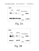 NOVEL THERAPEUTIC AGENTS AGAINST HEPATITIS diagram and image