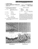 Defined Culture Conditions of Human Embryonic Stem Cells diagram and image