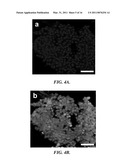 POROUS SCAFFOLDS FOR STEM CELL RENEWAL diagram and image