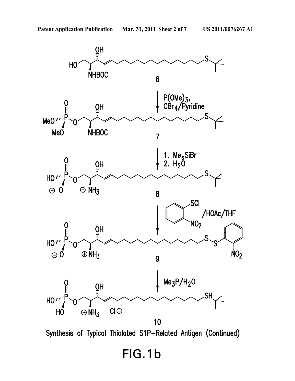 HUMANIZED ANTIBODY COMPOSITIONS AND METHODS FOR BINDING LYSOPHOSPHATIDIC ACID - diagram, schematic, and image 03