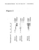 Soluble stabilized trimeric hiv env proteins and uses thereof diagram and image