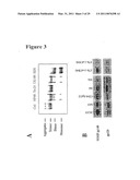 Soluble stabilized trimeric hiv env proteins and uses thereof diagram and image