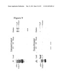 Soluble stabilized trimeric hiv env proteins and uses thereof diagram and image