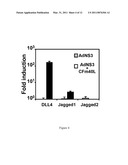 ADAPTER MOLECULE FOR THE DELIVERY OF ADENOVIRUS VECTORS diagram and image