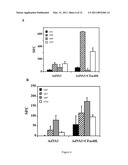 ADAPTER MOLECULE FOR THE DELIVERY OF ADENOVIRUS VECTORS diagram and image