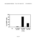 ADAPTER MOLECULE FOR THE DELIVERY OF ADENOVIRUS VECTORS diagram and image