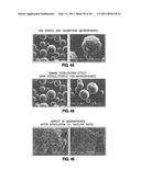 RETINOID-CONTAINING SUSTAINED RELEASE INTRAOCULAR IMPLANTS AND RELATED MATTERS diagram and image