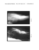 Herbal Formulation for the Treatment of Bone Fractures and Osseous Defects diagram and image