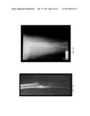 Herbal Formulation for the Treatment of Bone Fractures and Osseous Defects diagram and image