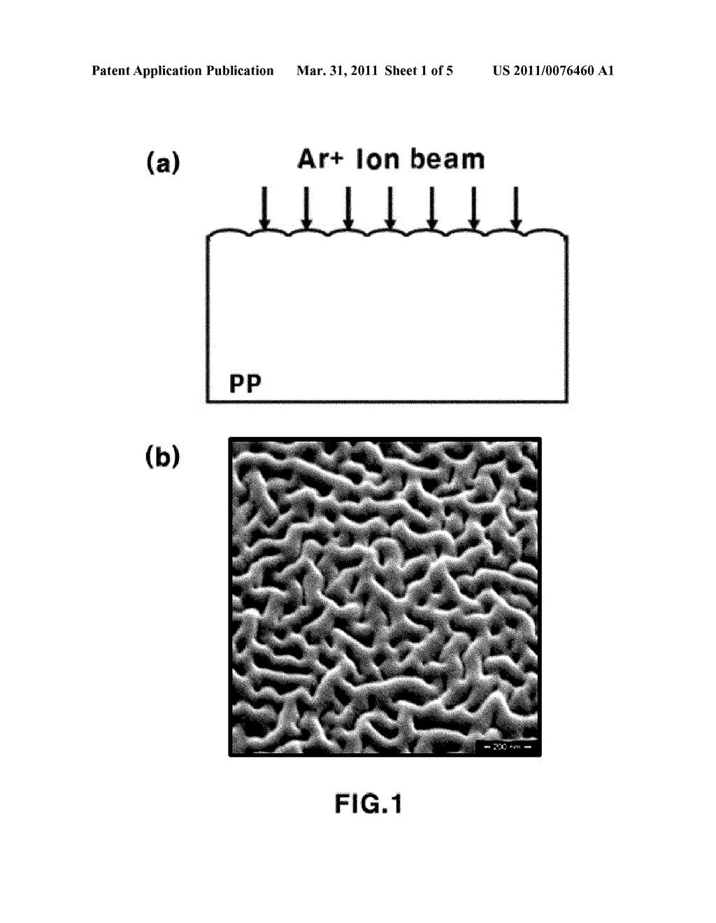 PLASTIC WITH NANO-EMBOSSING PATTERN AND METHOD FOR PREPARING THE SAME - diagram, schematic, and image 02