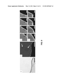 High-Throughput Imaging of Graphene Based Sheets by Fluorescence Quenching Microscopy and Applications of Same diagram and image