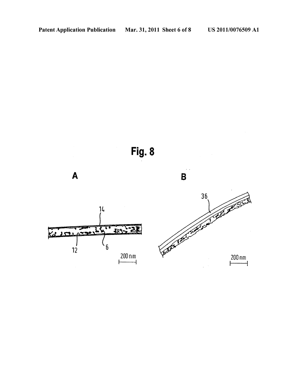 Method for the Synthesis of Metallic Nanotubes and Nanotubes Synthesized by the Method - diagram, schematic, and image 07