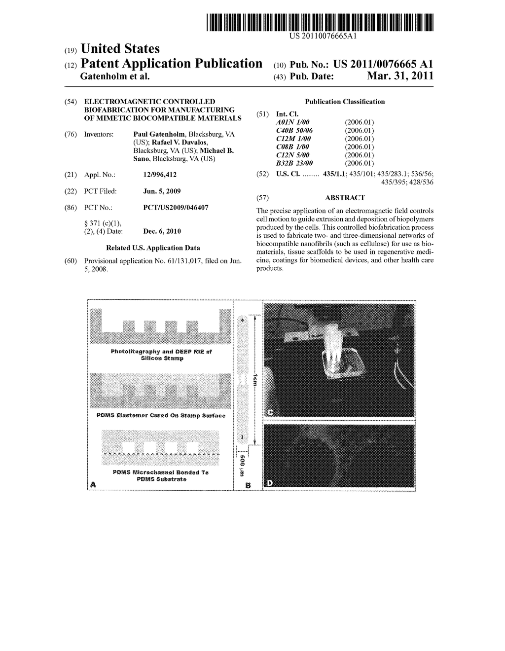 ELECTROMAGNETIC CONTROLLED BIOFABRICATION FOR MANUFACTURING OF MIMETIC BIOCOMPATIBLE MATERIALS - diagram, schematic, and image 01