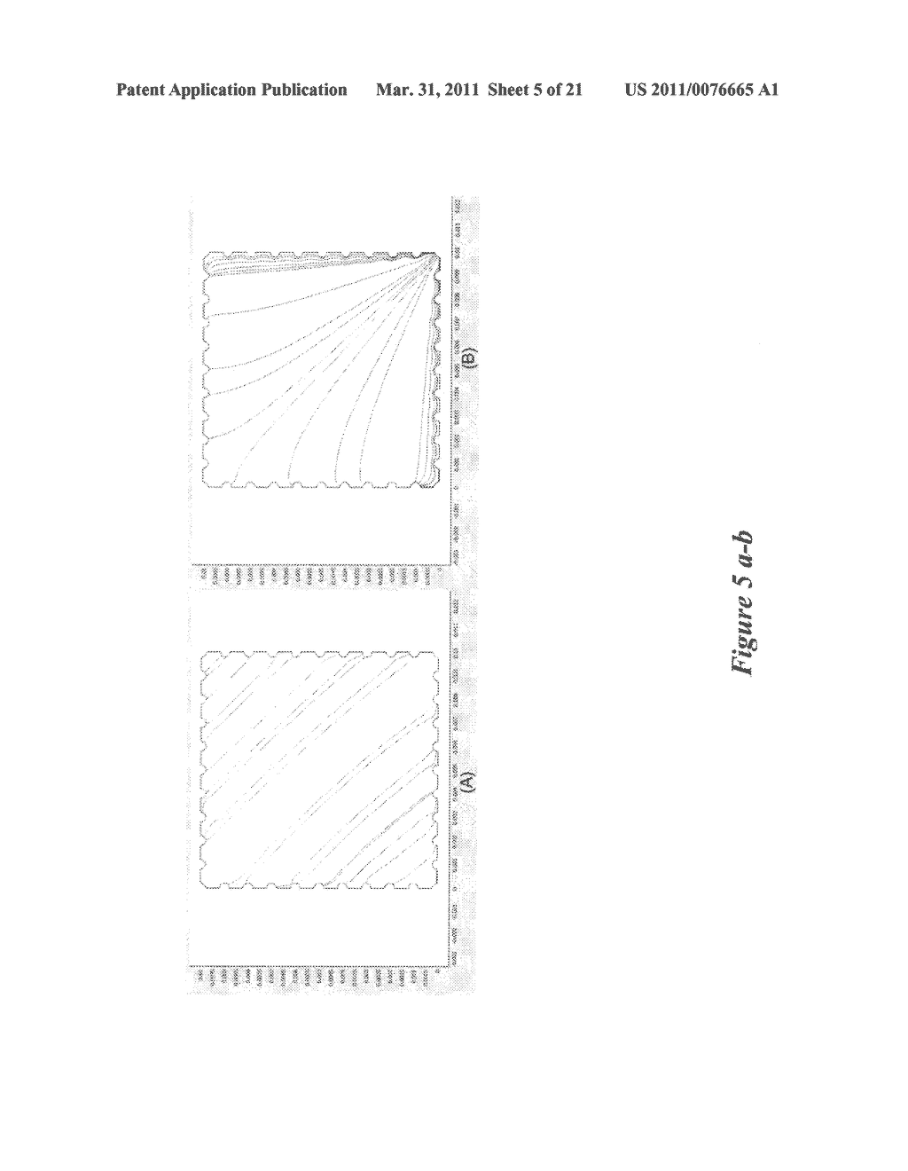 ELECTROMAGNETIC CONTROLLED BIOFABRICATION FOR MANUFACTURING OF MIMETIC BIOCOMPATIBLE MATERIALS - diagram, schematic, and image 06