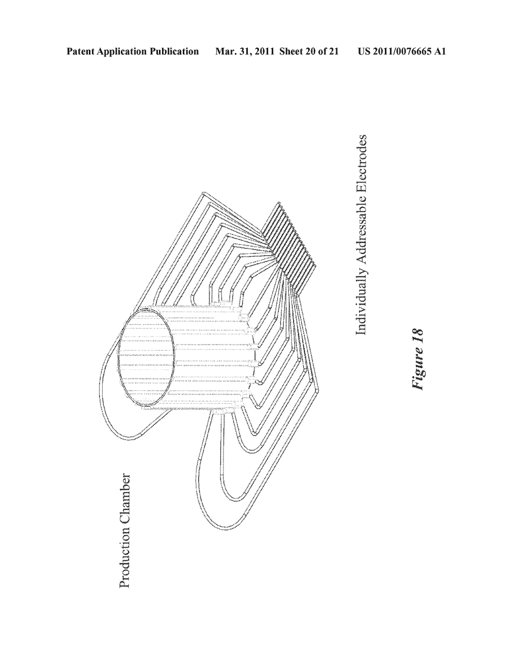 ELECTROMAGNETIC CONTROLLED BIOFABRICATION FOR MANUFACTURING OF MIMETIC BIOCOMPATIBLE MATERIALS - diagram, schematic, and image 21