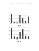 FLUORESCENCE STANDARD, AND THE USE THEREOF diagram and image