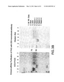 COMPOSITIONS AND METHODS FOR EARLY PREGNANCY DIAGNOSIS diagram and image
