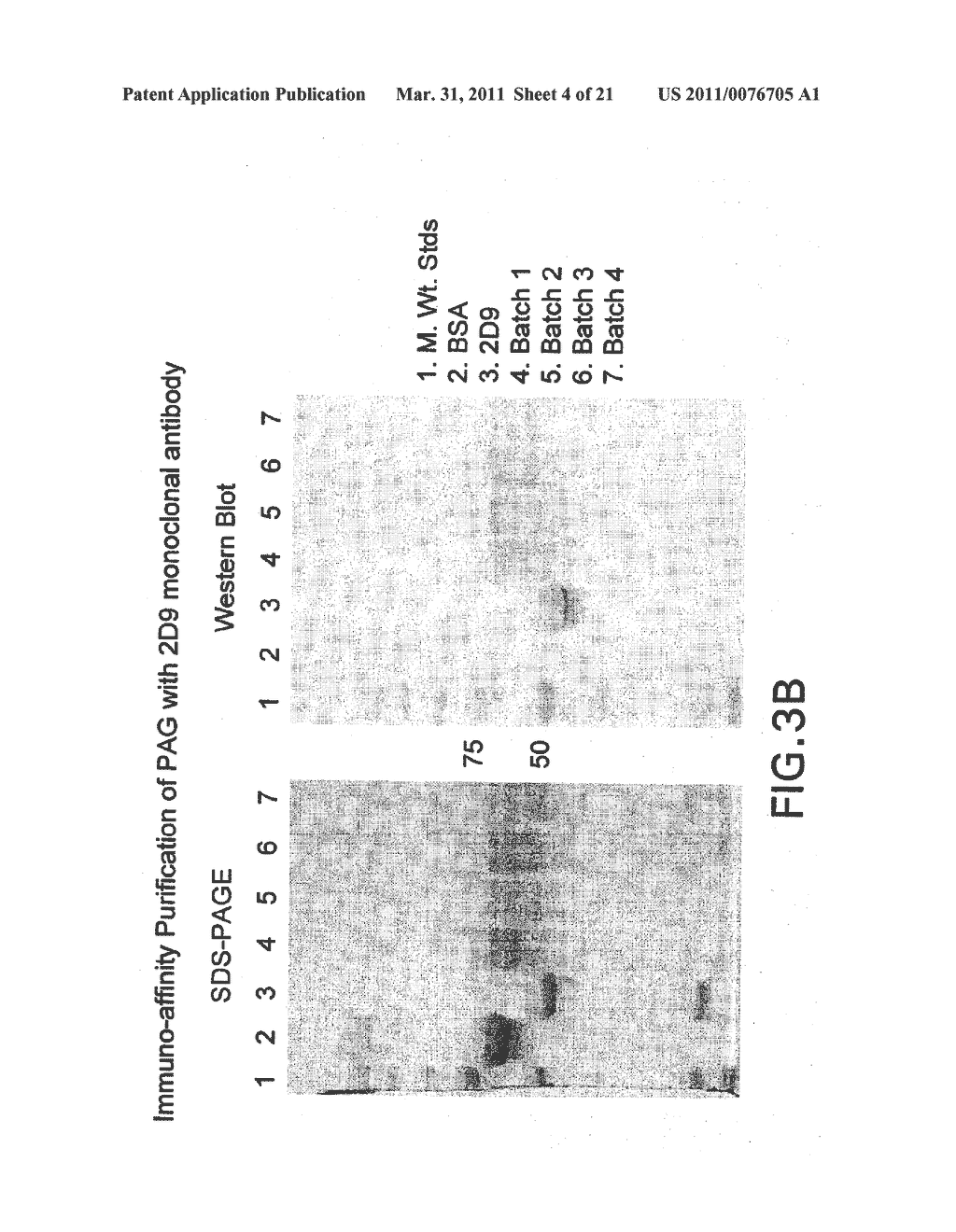 COMPOSITIONS AND METHODS FOR EARLY PREGNANCY DIAGNOSIS - diagram, schematic, and image 05