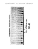 COMPOSITIONS AND METHODS FOR EARLY PREGNANCY DIAGNOSIS diagram and image