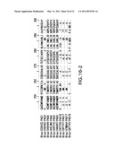 COMPOSITIONS AND METHODS FOR EARLY PREGNANCY DIAGNOSIS diagram and image