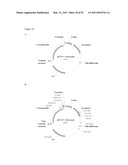 THREE-DIMENSIONAL STRUCTURE OF ISOPRENE SYNTHASE AND ITS USE THEREOF FOR GENERATING VARIANTS diagram and image