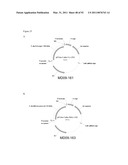 THREE-DIMENSIONAL STRUCTURE OF ISOPRENE SYNTHASE AND ITS USE THEREOF FOR GENERATING VARIANTS diagram and image